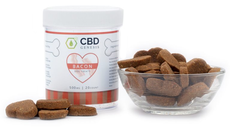 Soothing Your Pup’s Worries: CBD Pet Treats for Separation Anxiety